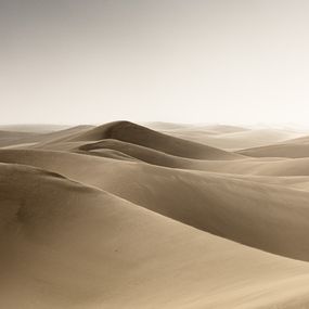 Fotografía, Golden desert, Guilhem Ribart