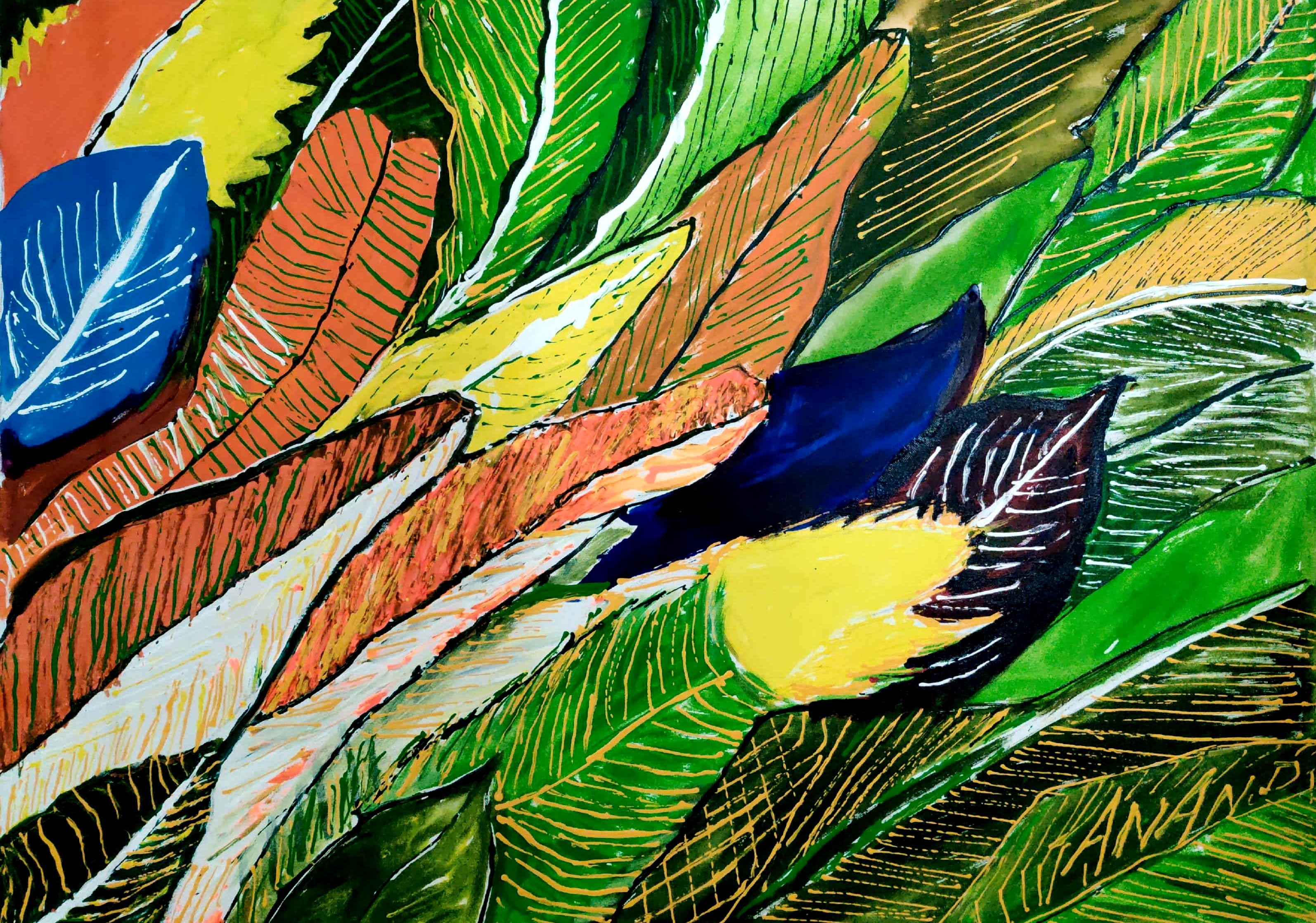 Anand Manchiraju, Parrot feathers Anand Manchiraju, Parrot feathers