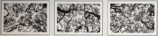 Andy Lerner