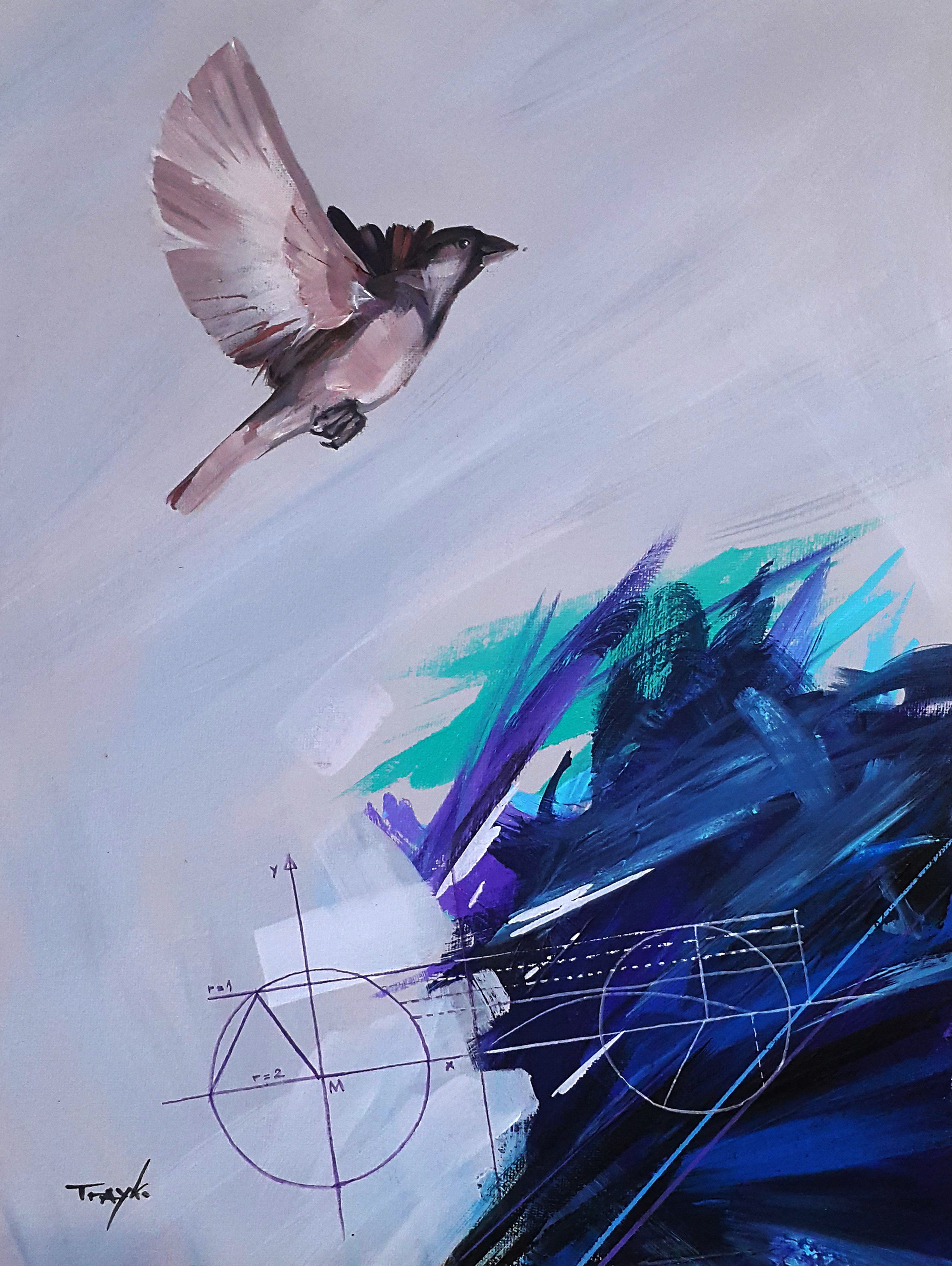 Trayko Popov, Flight geometry Trayko Popov, Flight geometry
