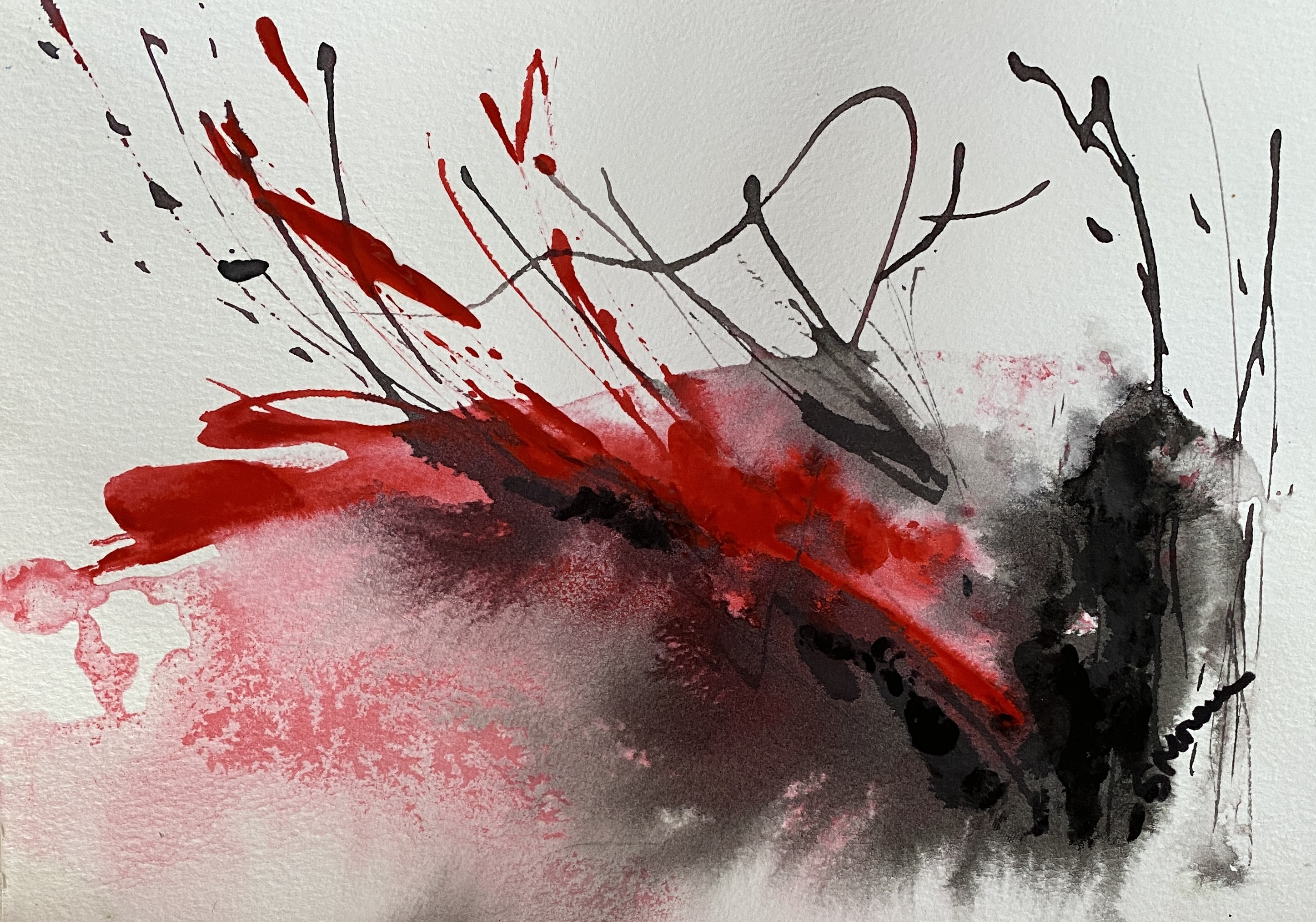 Steliana Mocanu, Rouge Steliana Mocanu, Rouge