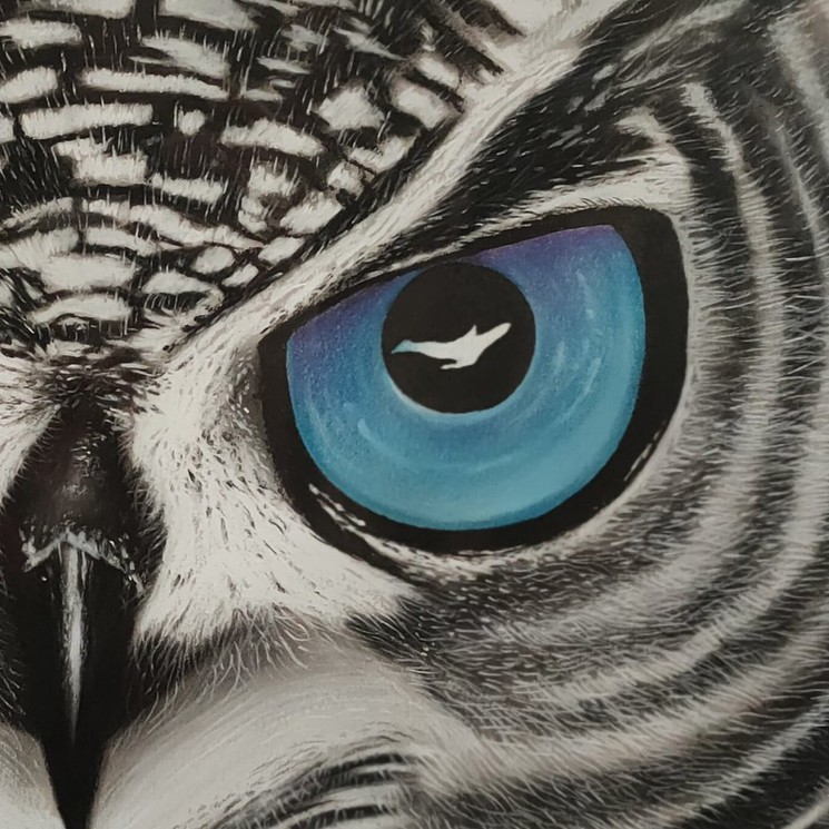 Right Owl Eye Drawing by Rebecca Wiltfong Frisbee | Saatchi Art