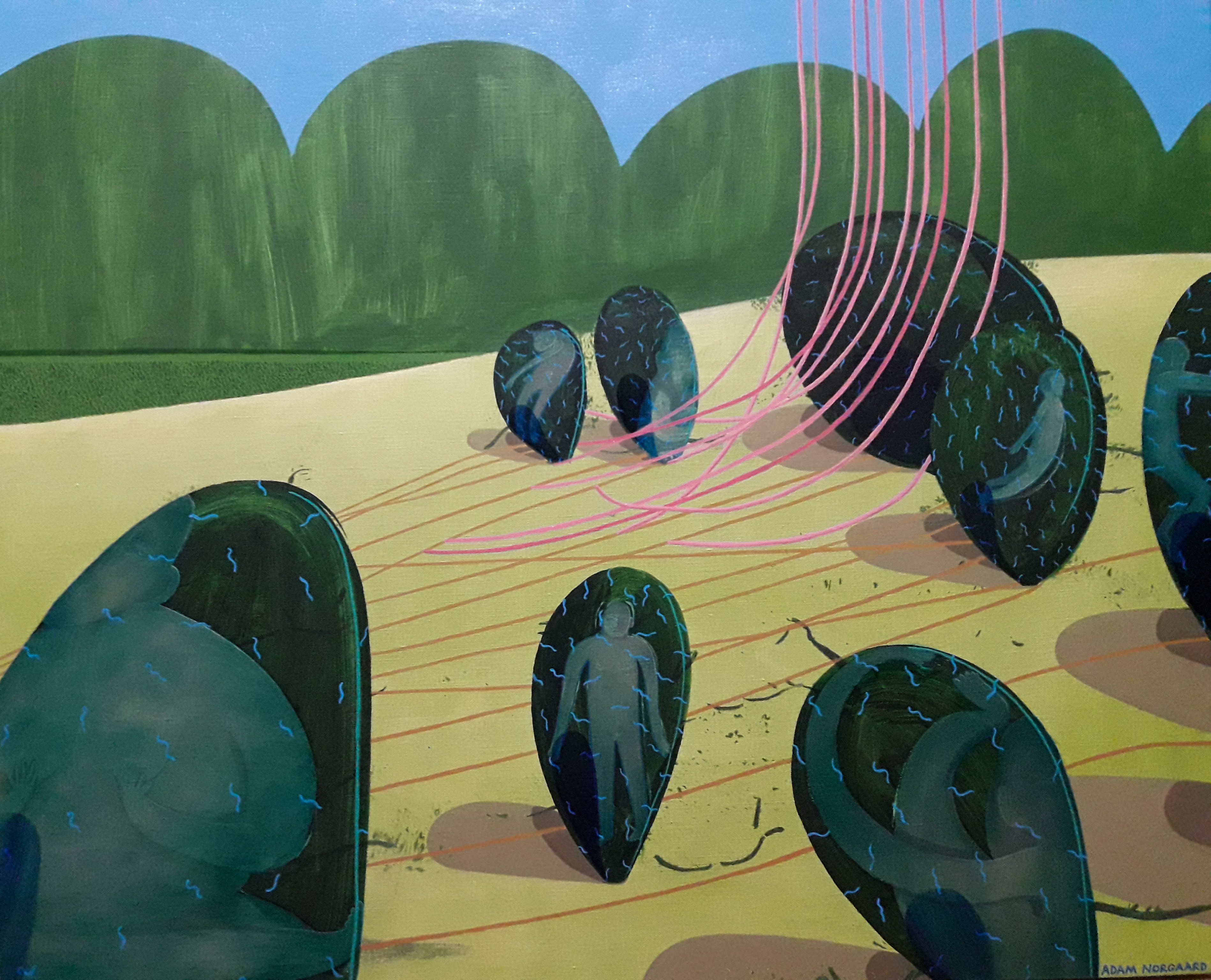 Adam Norgaard, Dream Phase Adam Norgaard, Dream Phase