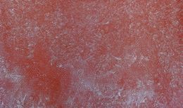 Painting, Bush Plum dreaming -  Arlparra Country AP3222/24, Angelina Pwerle Ngala