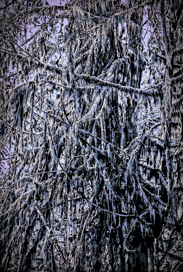 Jarmila Kostliva, Primal Forests Jarmila Kostliva, Primal Forests