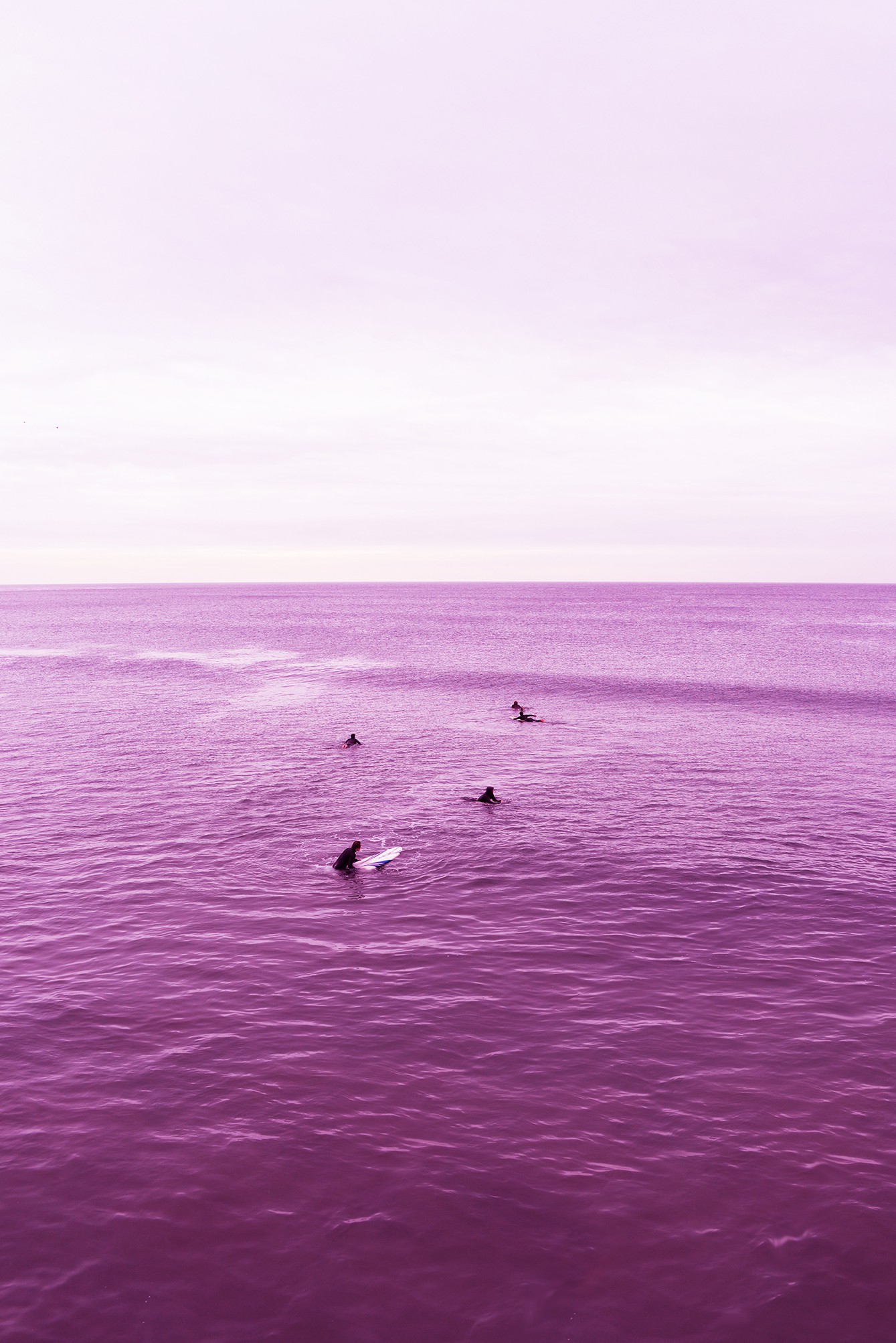 P van Bolderick, Venice Beach Purple Sea ll P van Bolderick, Venice Beach Purple Sea ll