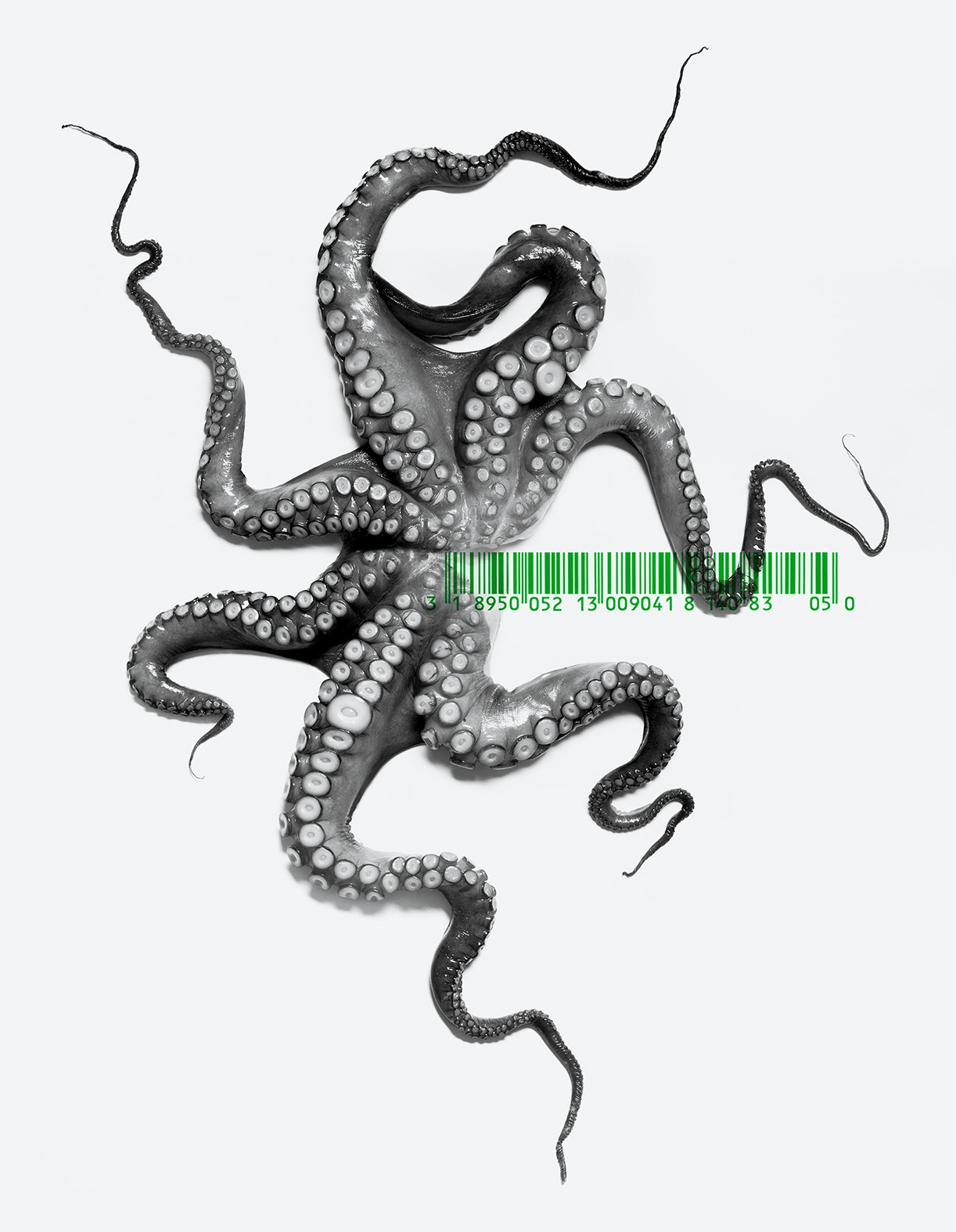 Salvatore Arnone, 0529. From The ONE Series Salvatore Arnone, 0529. From The ONE Series