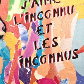 Miss.Tic, J'aime l'inconnu et les inconnus Miss.Tic, J'aime l'inconnu et les inconnus