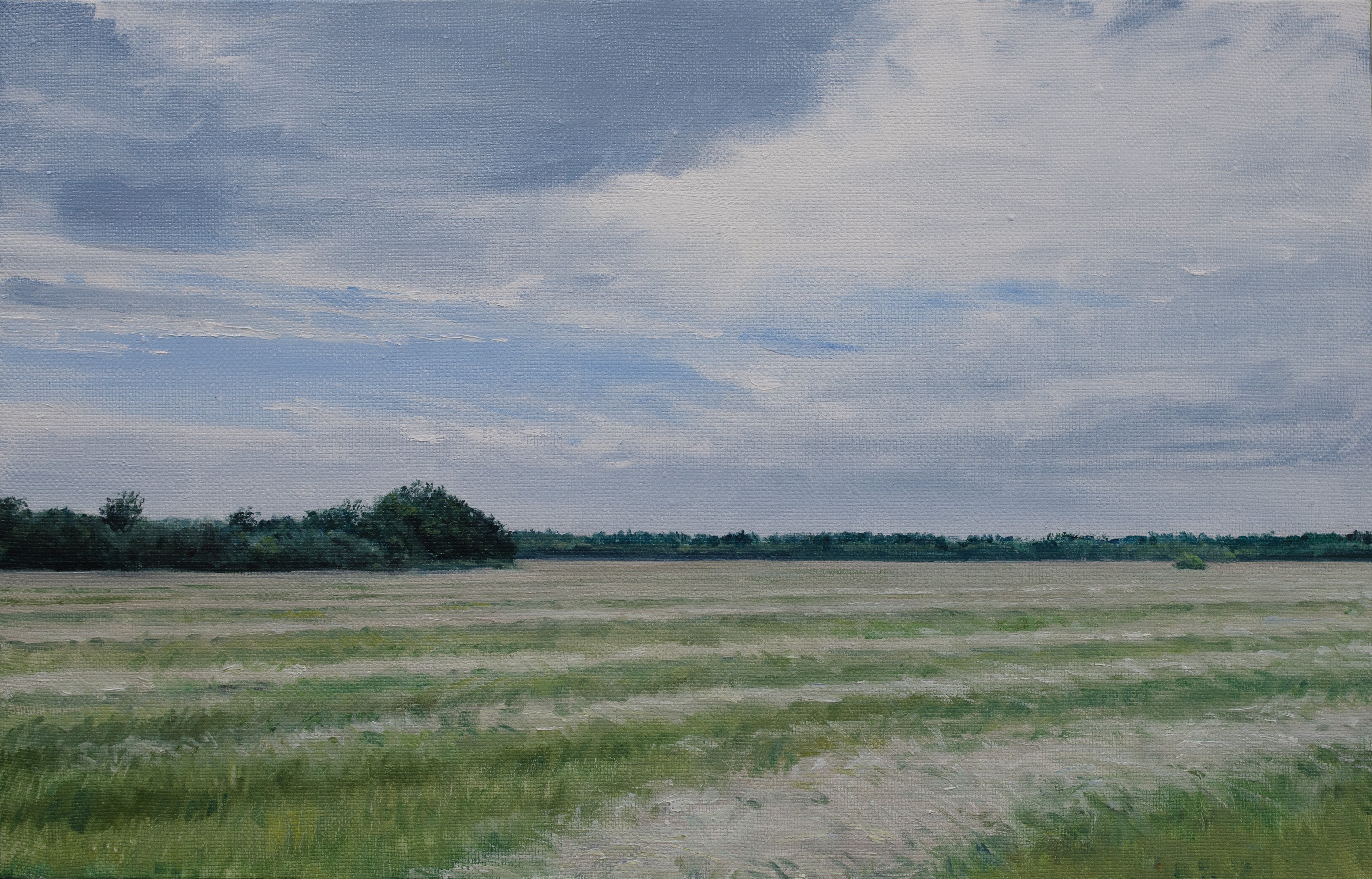 Egor Plotnikov, Dans les champs Egor Plotnikov, Dans les champs