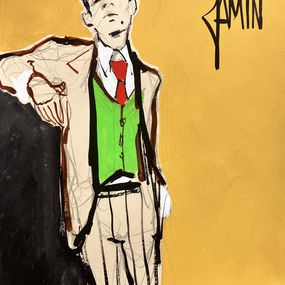 David Jamin, Le gilet vert David Jamin, Le gilet vert