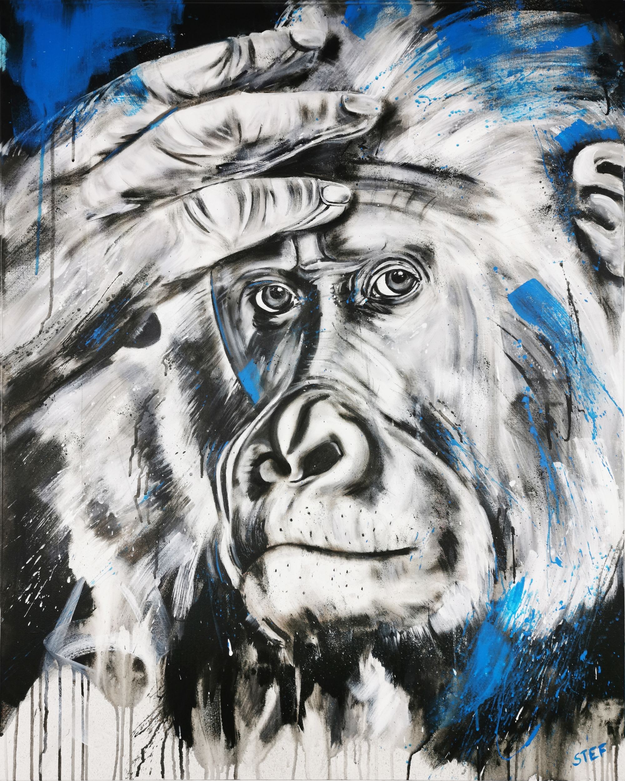 Stefanie Rogge, Gorilla #2 - hominedea, Painting, Acrylic on Canvas Stefanie Rogge, Gorilla #2 - hominedea, Painting, Acrylic on Canvas