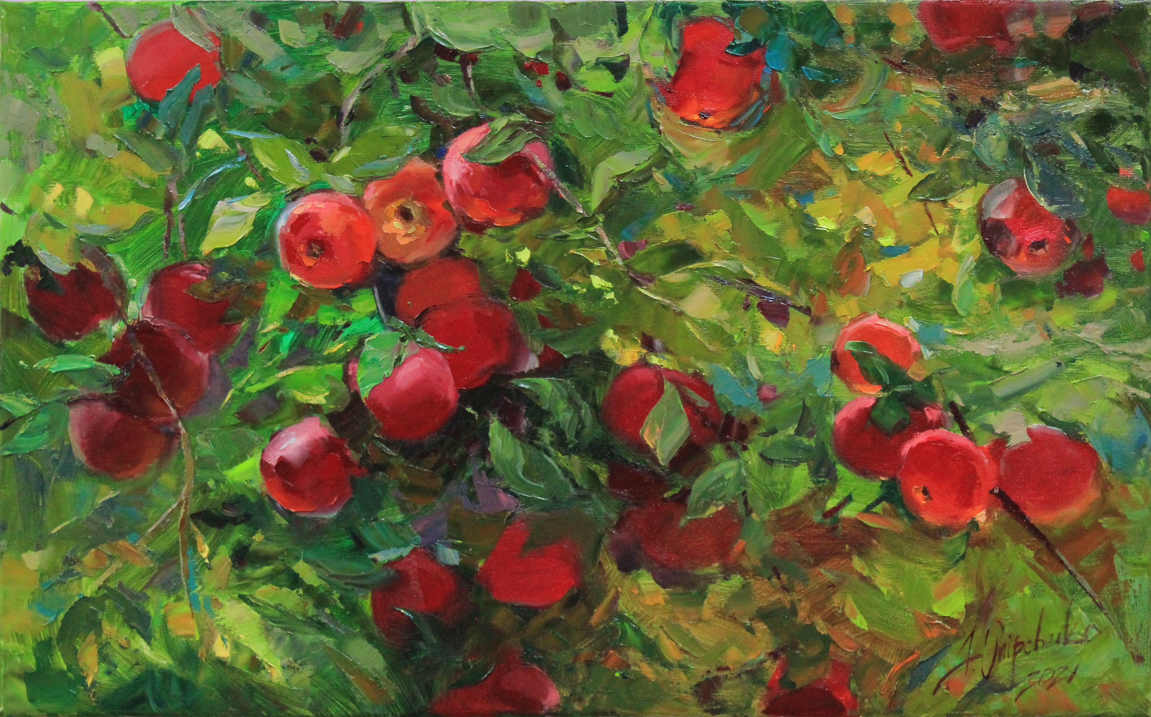 Alisa Onipchenko-Cherniakovska, Carpathian apples Alisa Onipchenko-Cherniakovska, Carpathian apples