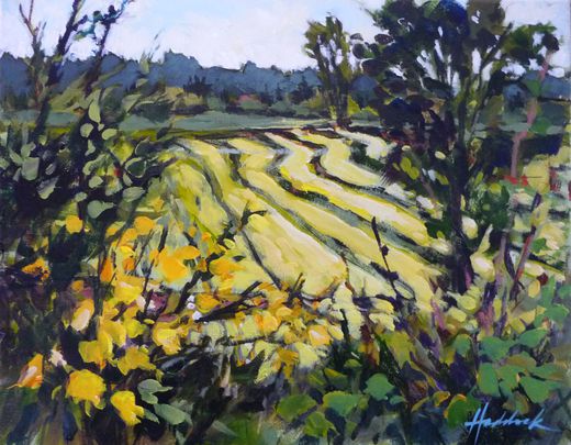 Perry Haddock