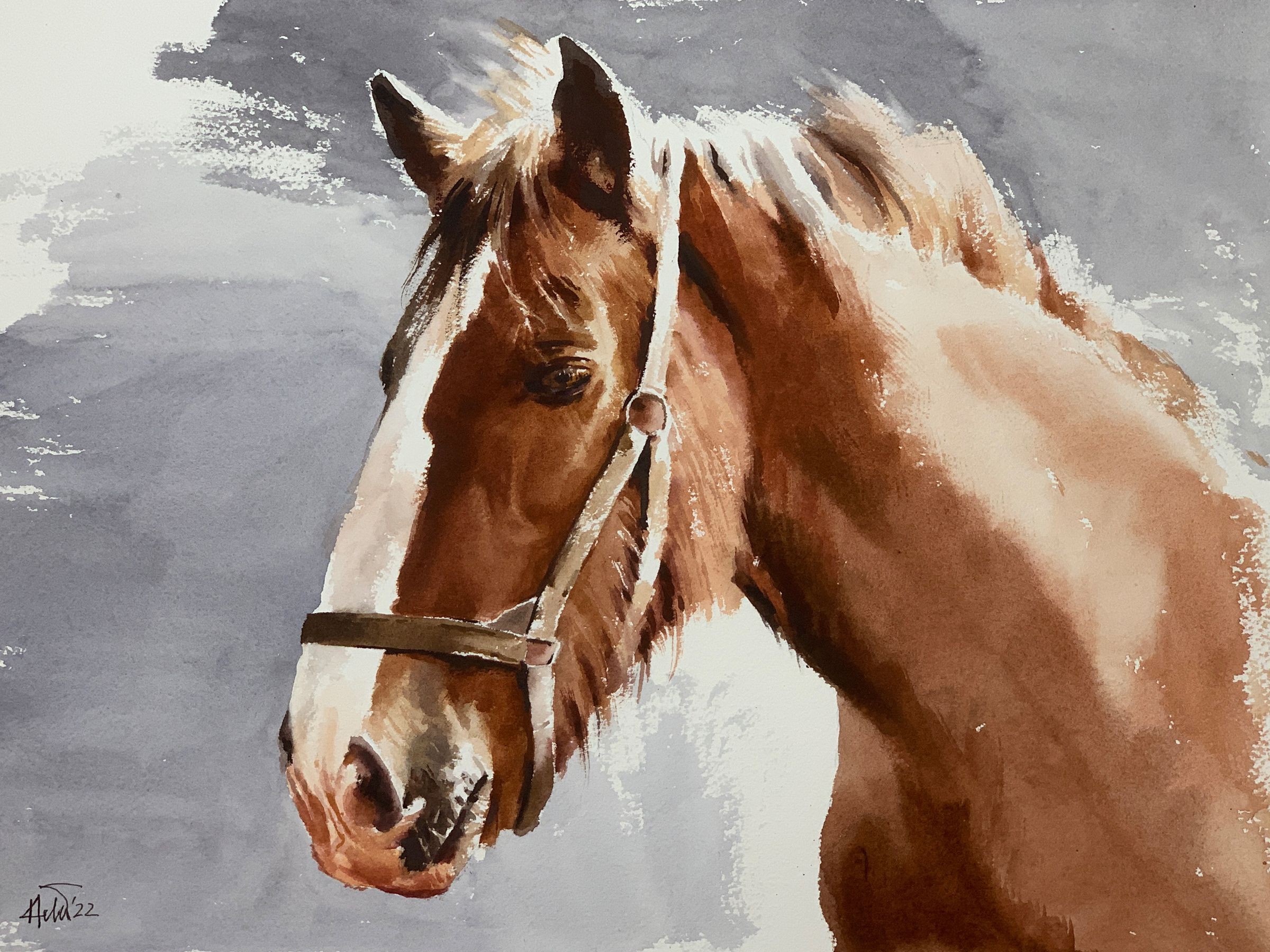 Helal Uddin, Horse_01 Helal Uddin, Horse_01