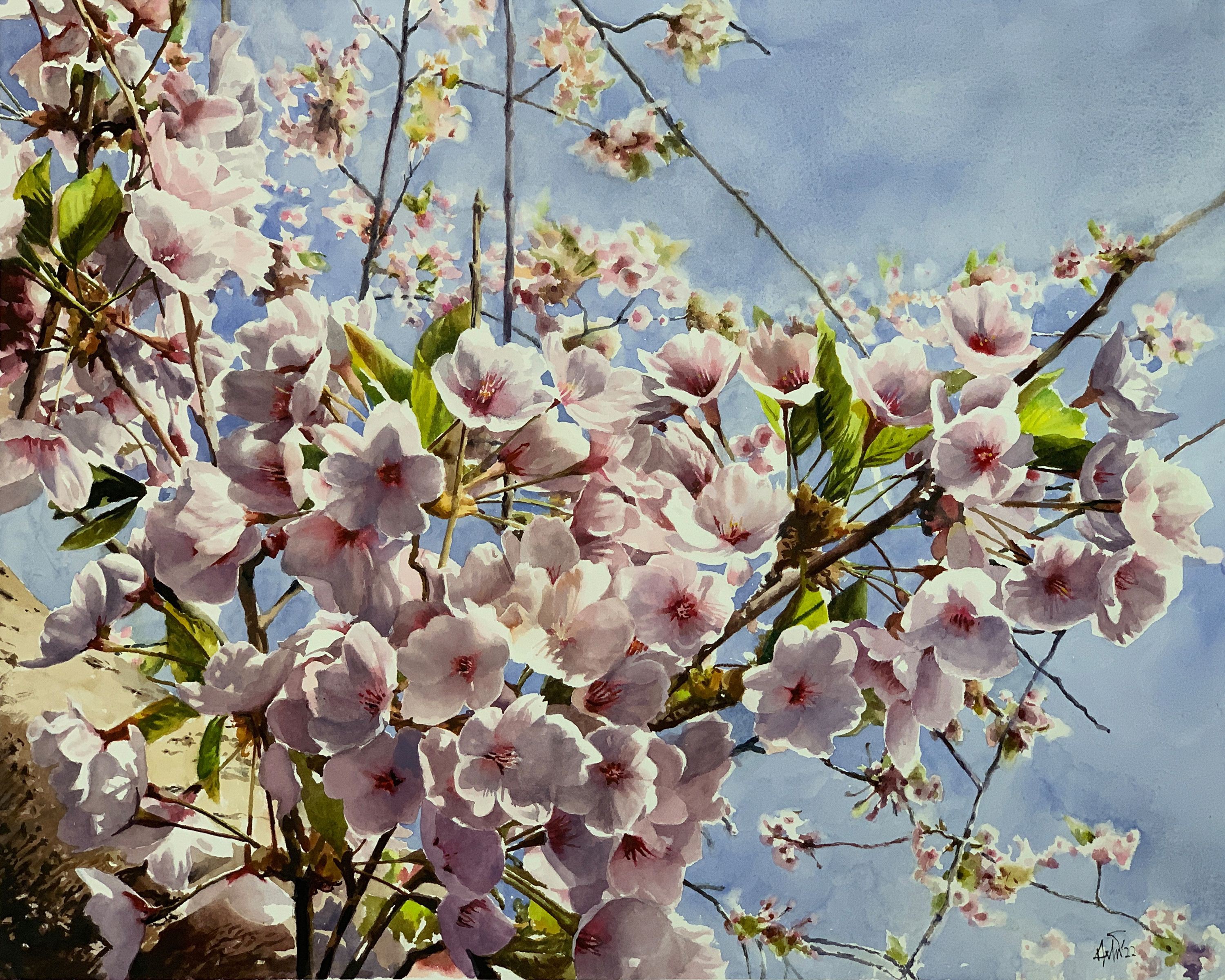 Helal Uddin, Cherry Blossoms_04 Helal Uddin, Cherry Blossoms_04