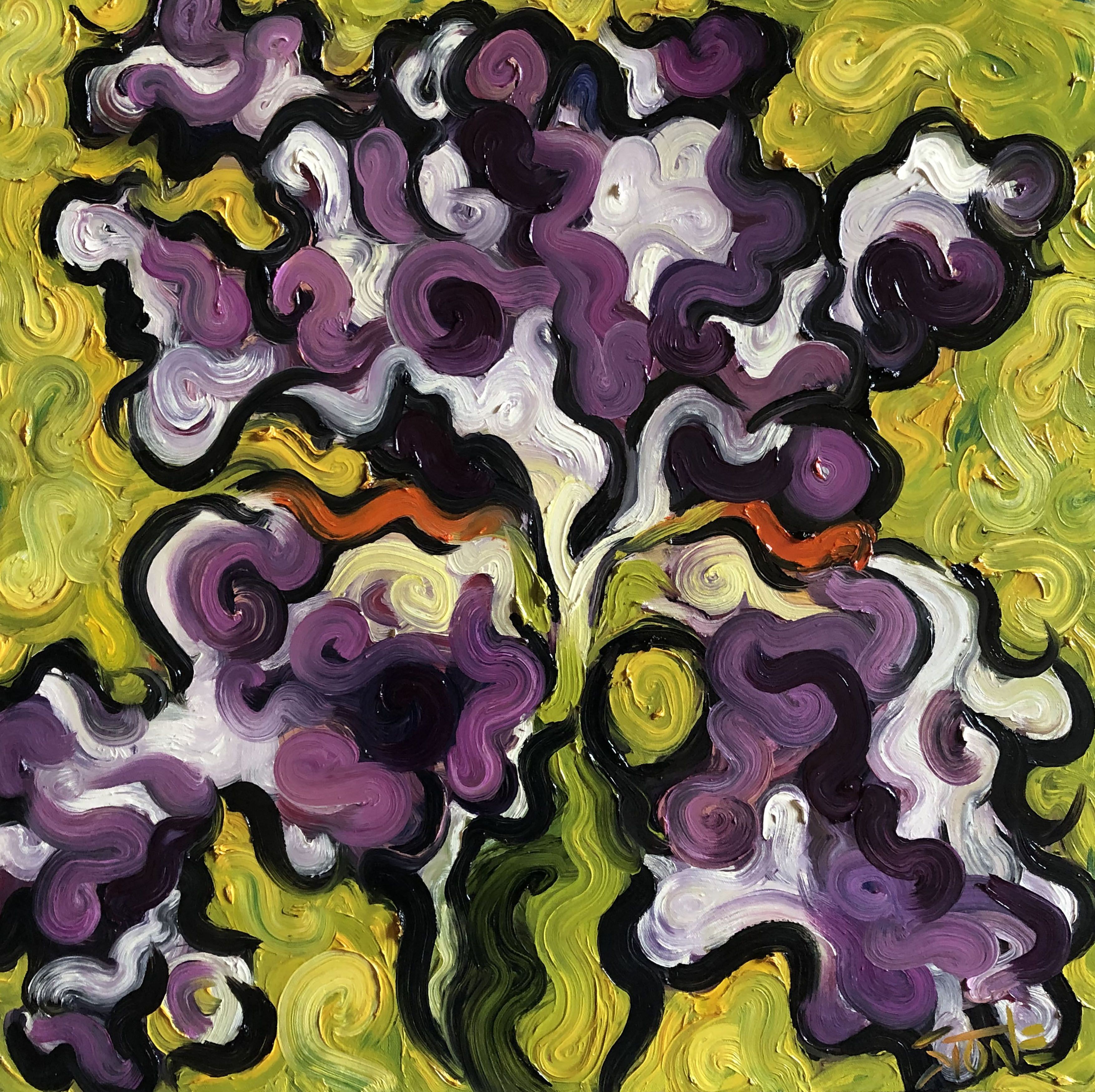 Bill Stone, Funky iris Bill Stone, Funky iris