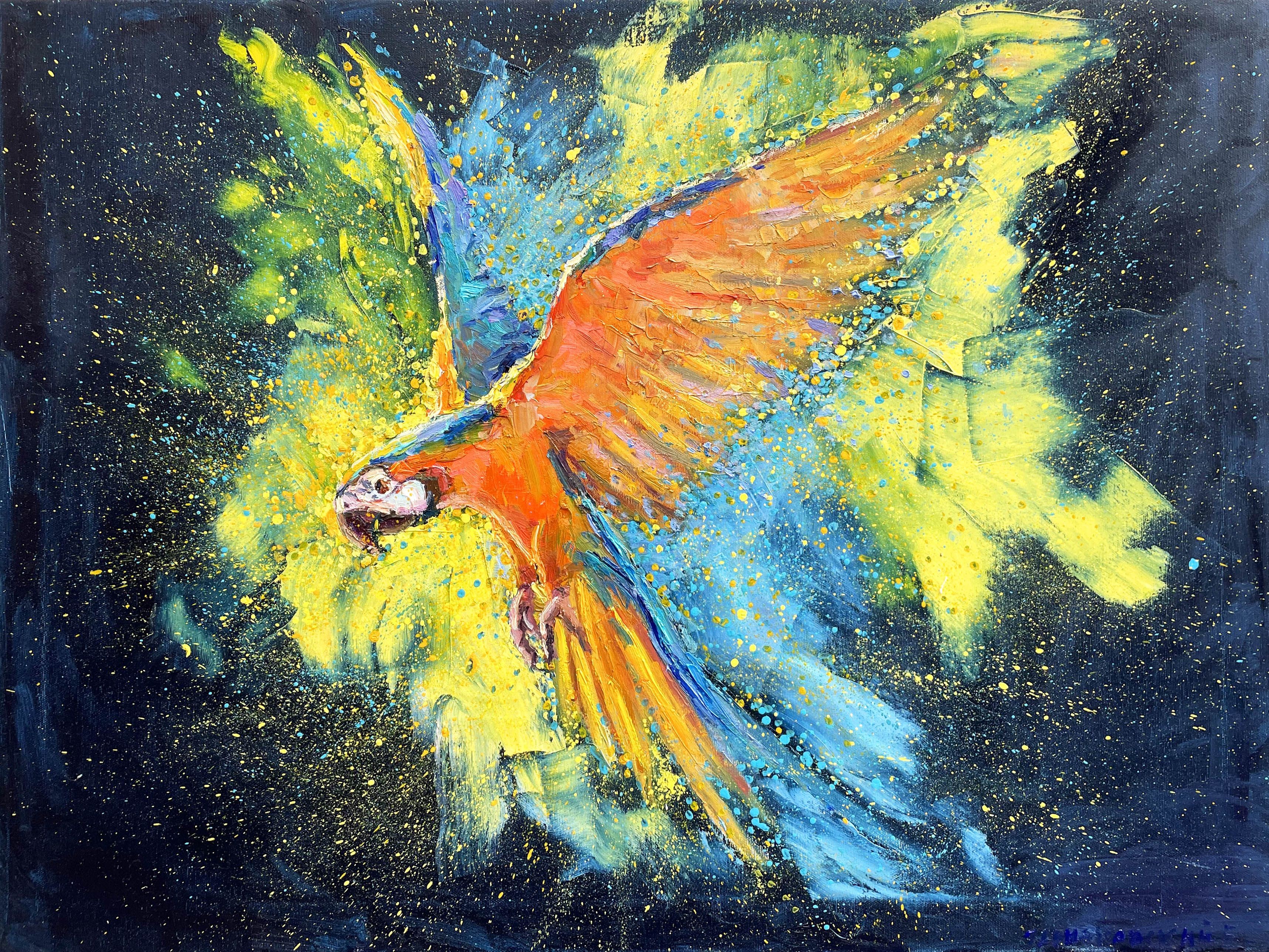 Evgeny Chernyakovsky, Parrots Evgeny Chernyakovsky, Parrots