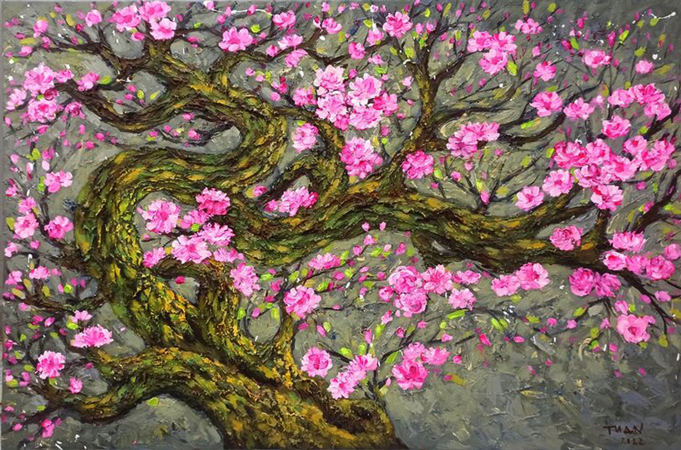 Le anh Tuan, Spring Le anh Tuan, Spring