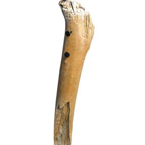 Lionel le Jeune, Figure-Totem Lionel le Jeune, Figure-Totem