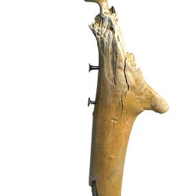 Lionel le Jeune, Figure-Totem Lionel le Jeune, Figure-Totem