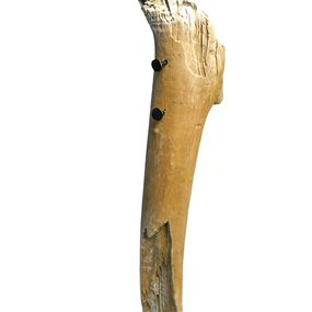 Lionel le Jeune, Figure-Totem Lionel le Jeune, Figure-Totem