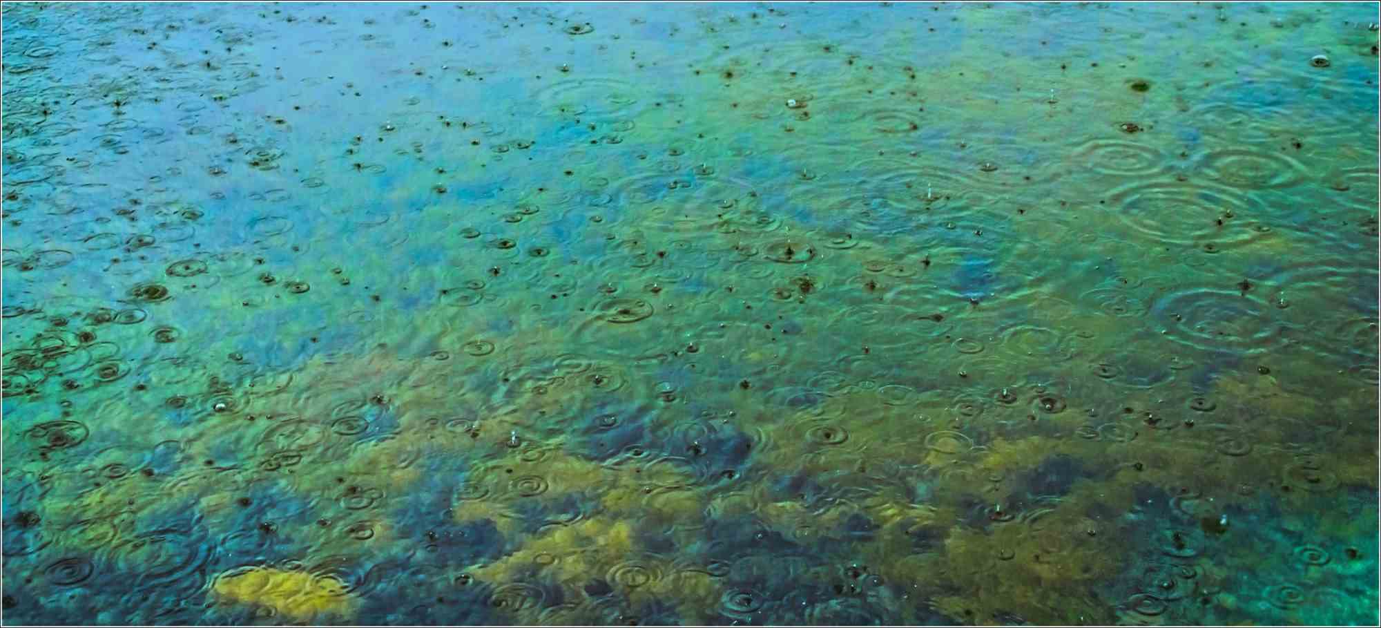Michael Burgess, Calm - Rain on Pond Michael Burgess, Calm - Rain on Pond
