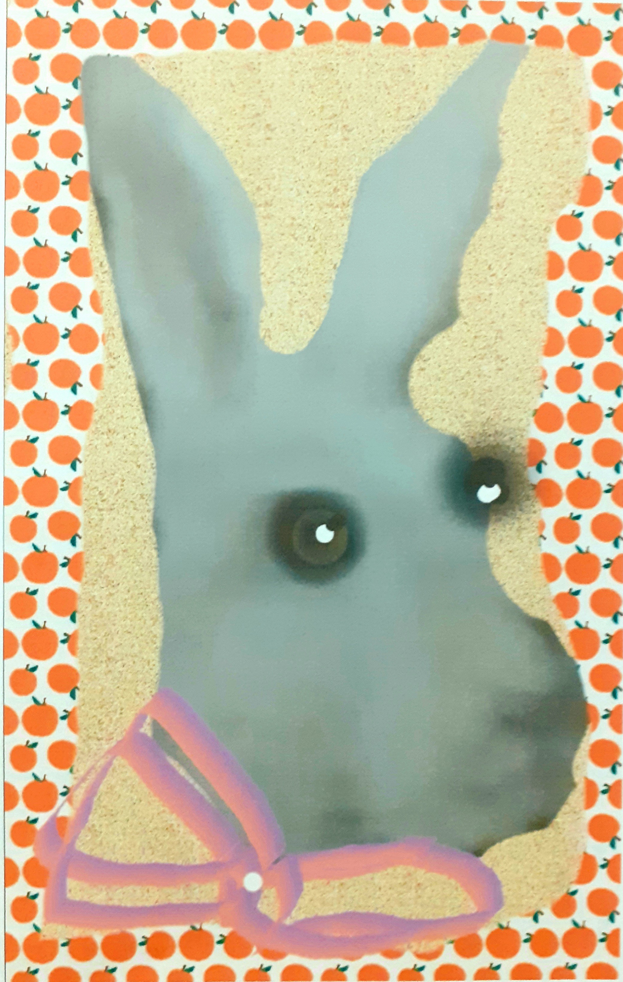 Sylvie Schambill, Lapin Sylvie Schambill, Lapin
