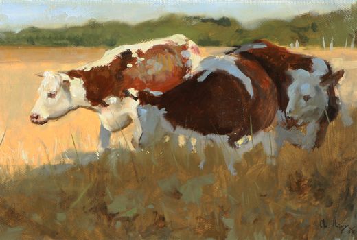 Christophe Thiry