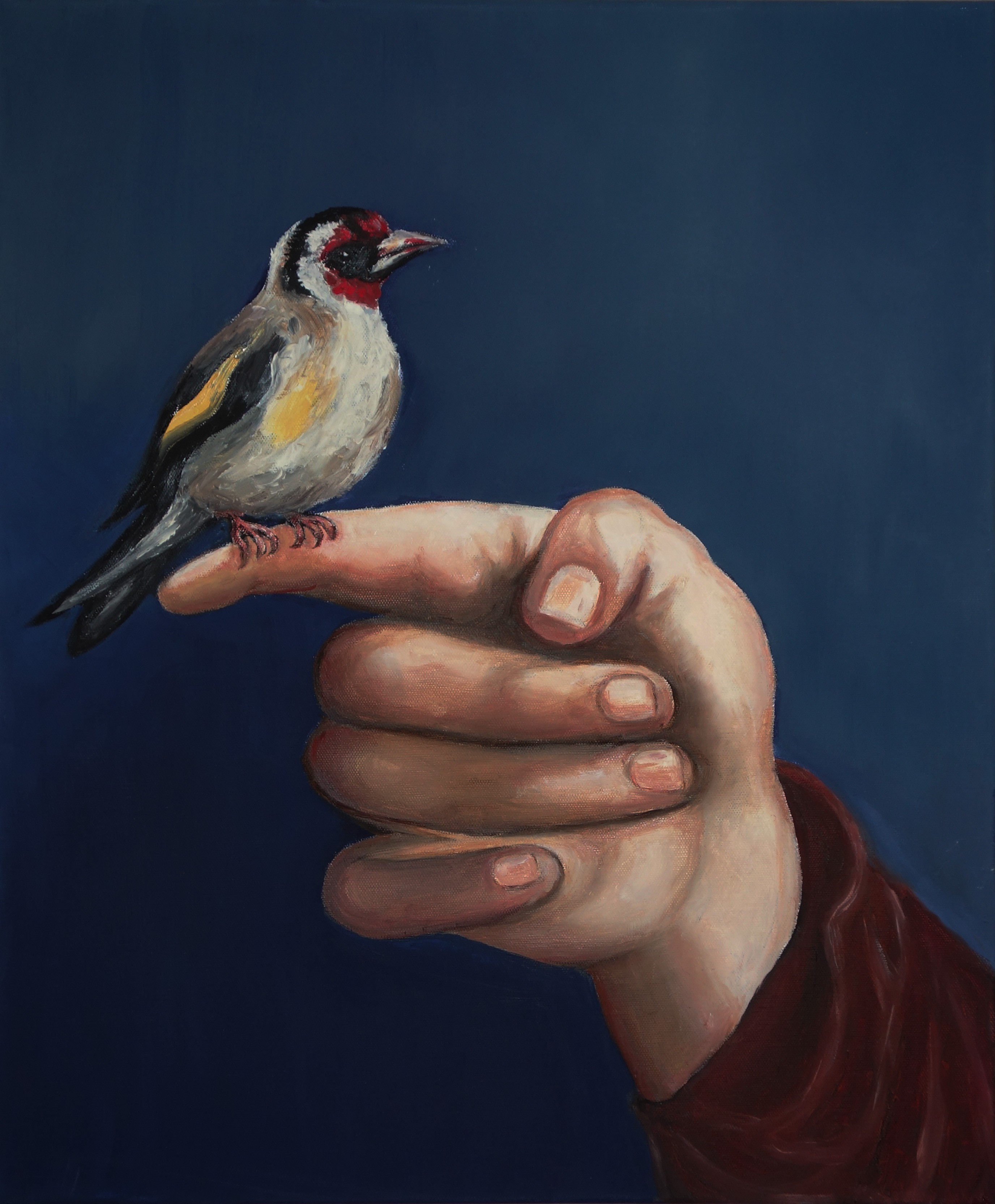 Christa Murken, Stieglitz Christa Murken, Stieglitz