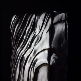 Guillaume Carabin, Ripple serie - Shore Guillaume Carabin, Ripple serie - Shore