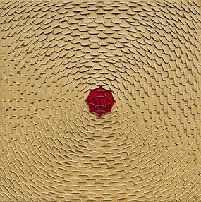 Rose 641