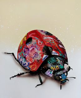 Coccinelle, Onemizer
