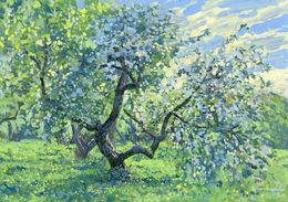 Apple tree in bloom. Kolomenskoye, Simon Kozhin