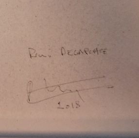 Remi Delaplace, Gestalt Remi Delaplace, Gestalt