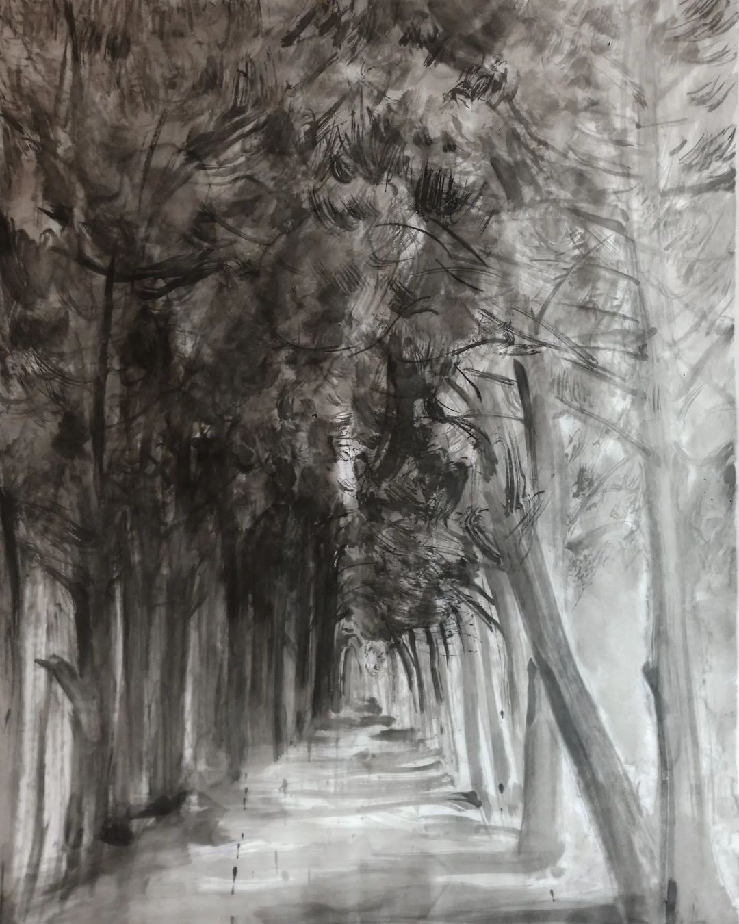 Qiongfei Zhang, Un boulevard Qiongfei Zhang, Un boulevard