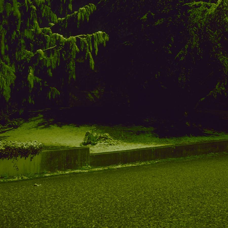 Nicholas Winter, Curb Nicholas Winter, Curb