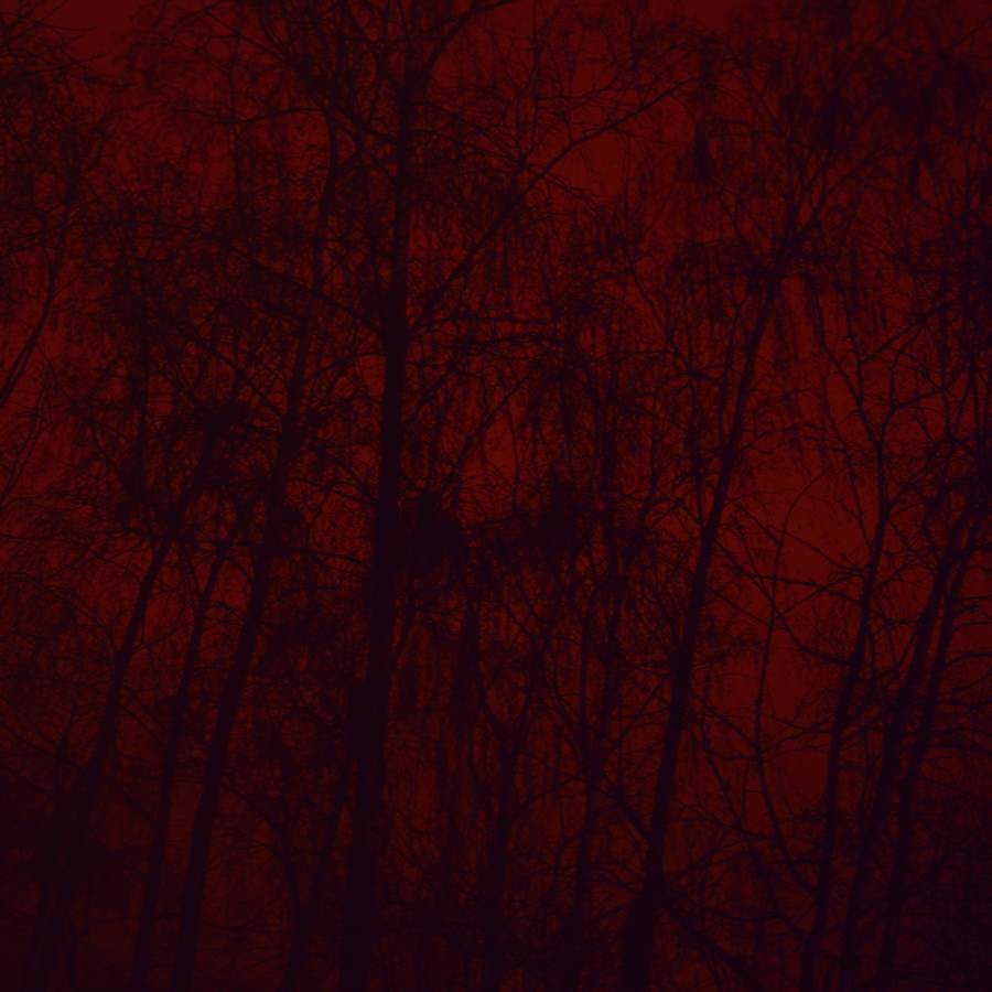Nicholas Winter, Trees 1 Nicholas Winter, Trees 1