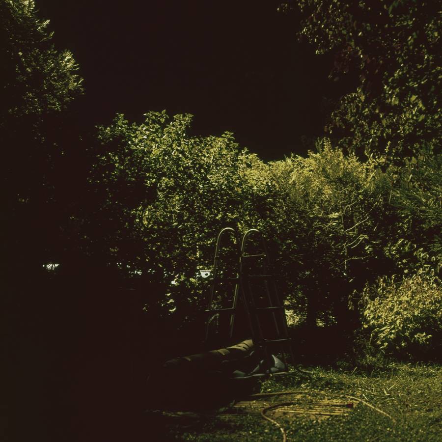 Nicholas Winter, Garden 1 Nicholas Winter, Garden 1