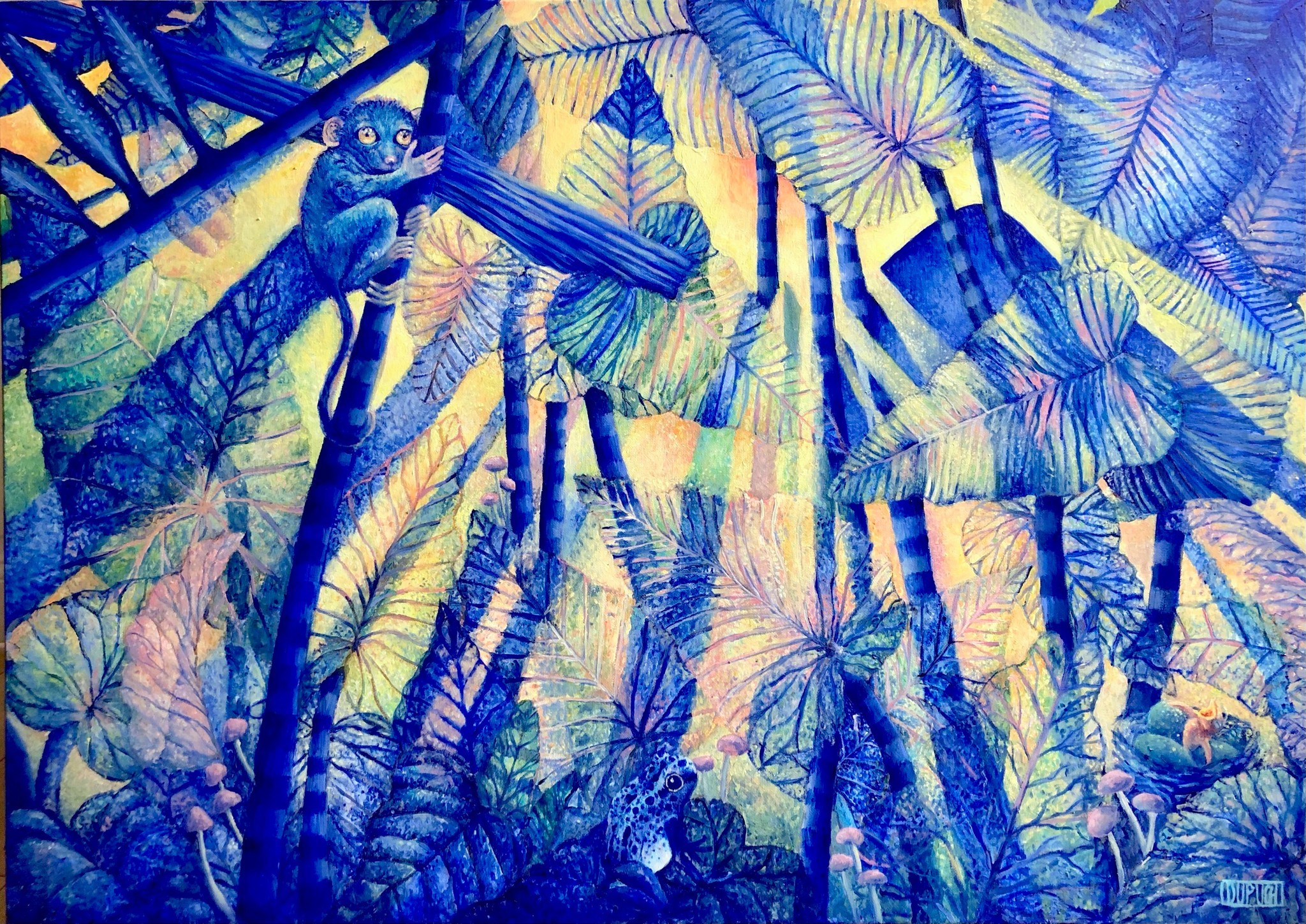 Clémence Dupuch, Lumières sur la jungle Clémence Dupuch, Lumières sur la jungle