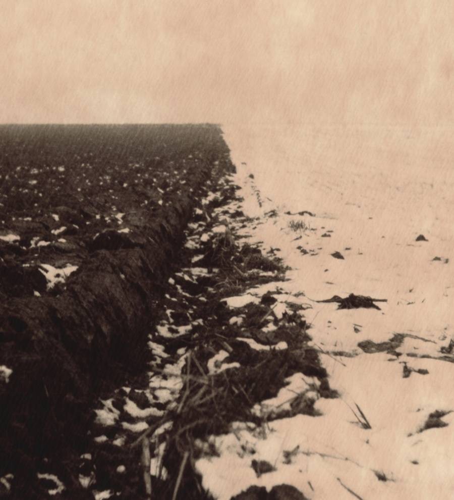Nicholas Winter, Snow and earth Nicholas Winter, Snow and earth