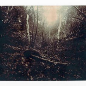 Photography, Way, Nicholas Winter