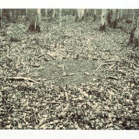 Photography, Place, Nicholas Winter