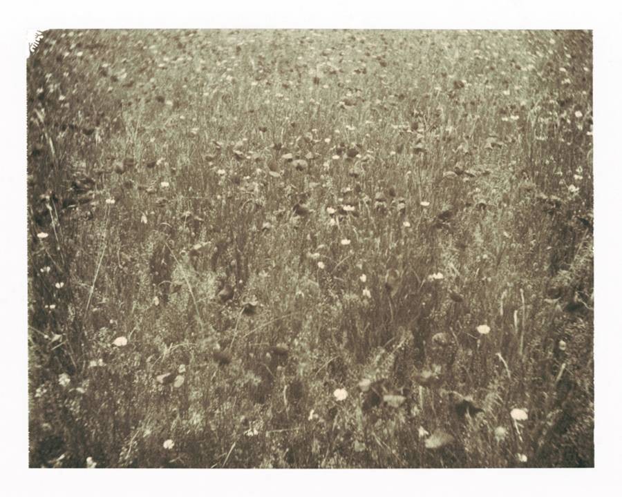 Nicholas Winter, Essence Nicholas Winter, Essence