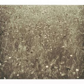 Photography, Essence, Nicholas Winter