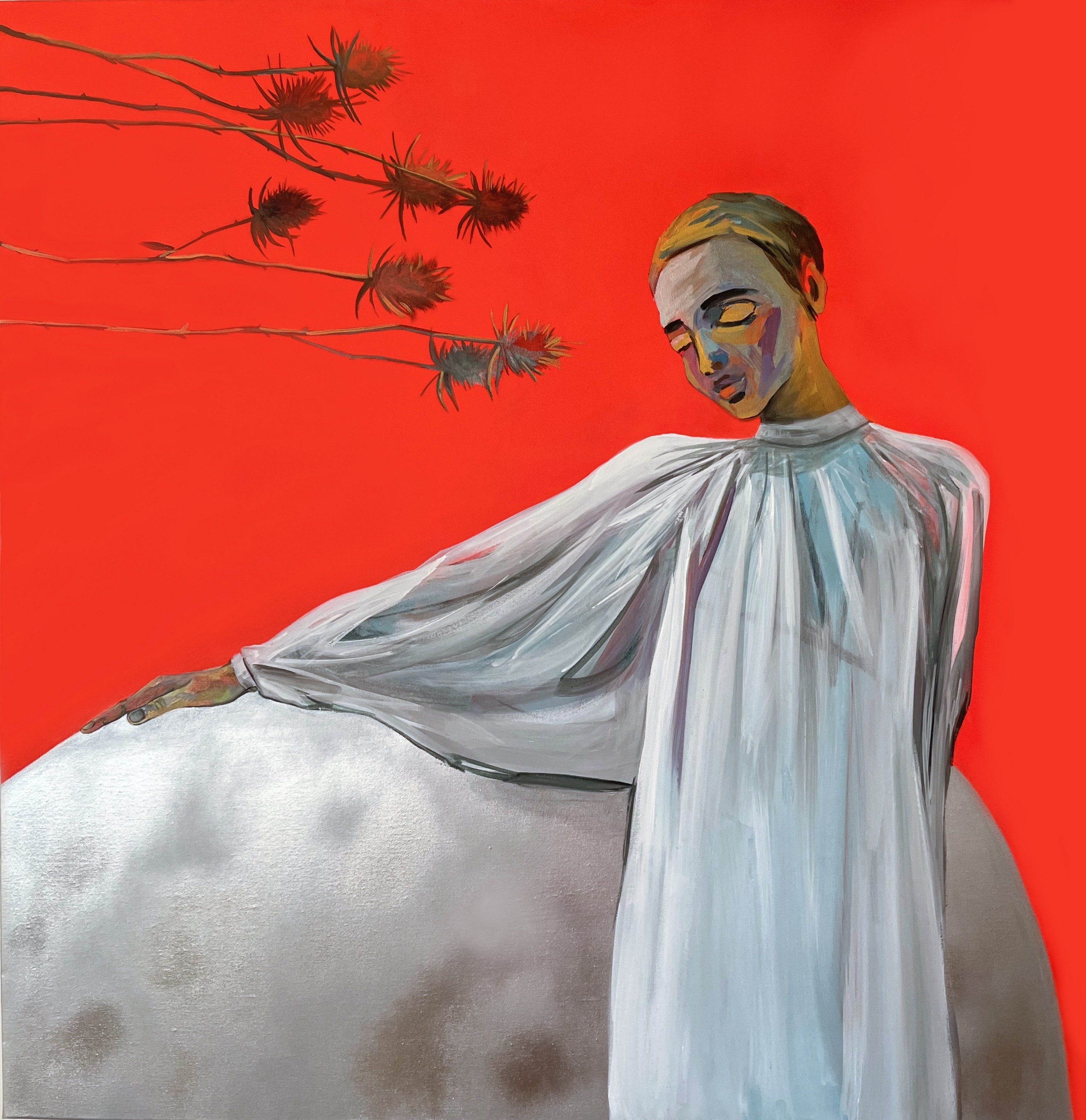 Nora Ampova, Dispacus fullonum Nora Ampova, Dispacus fullonum
