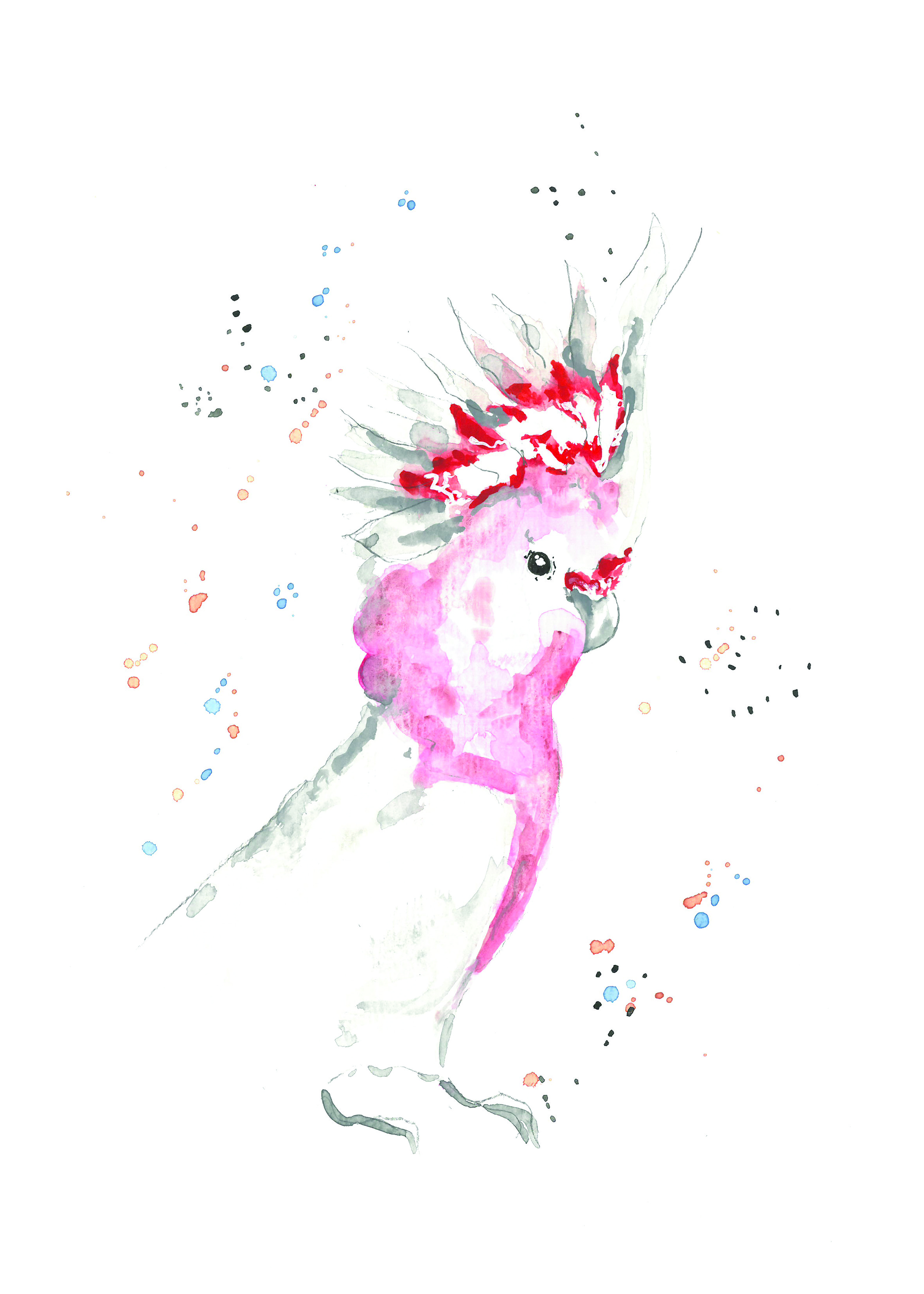 Noël Granger, Print - Notre perroquet rose ! Noël Granger, Print - Notre perroquet rose !
