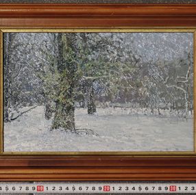 Simon Kozhin, December. Old poplar in Tsaritsyno Simon Kozhin, December. Old poplar in Tsaritsyno