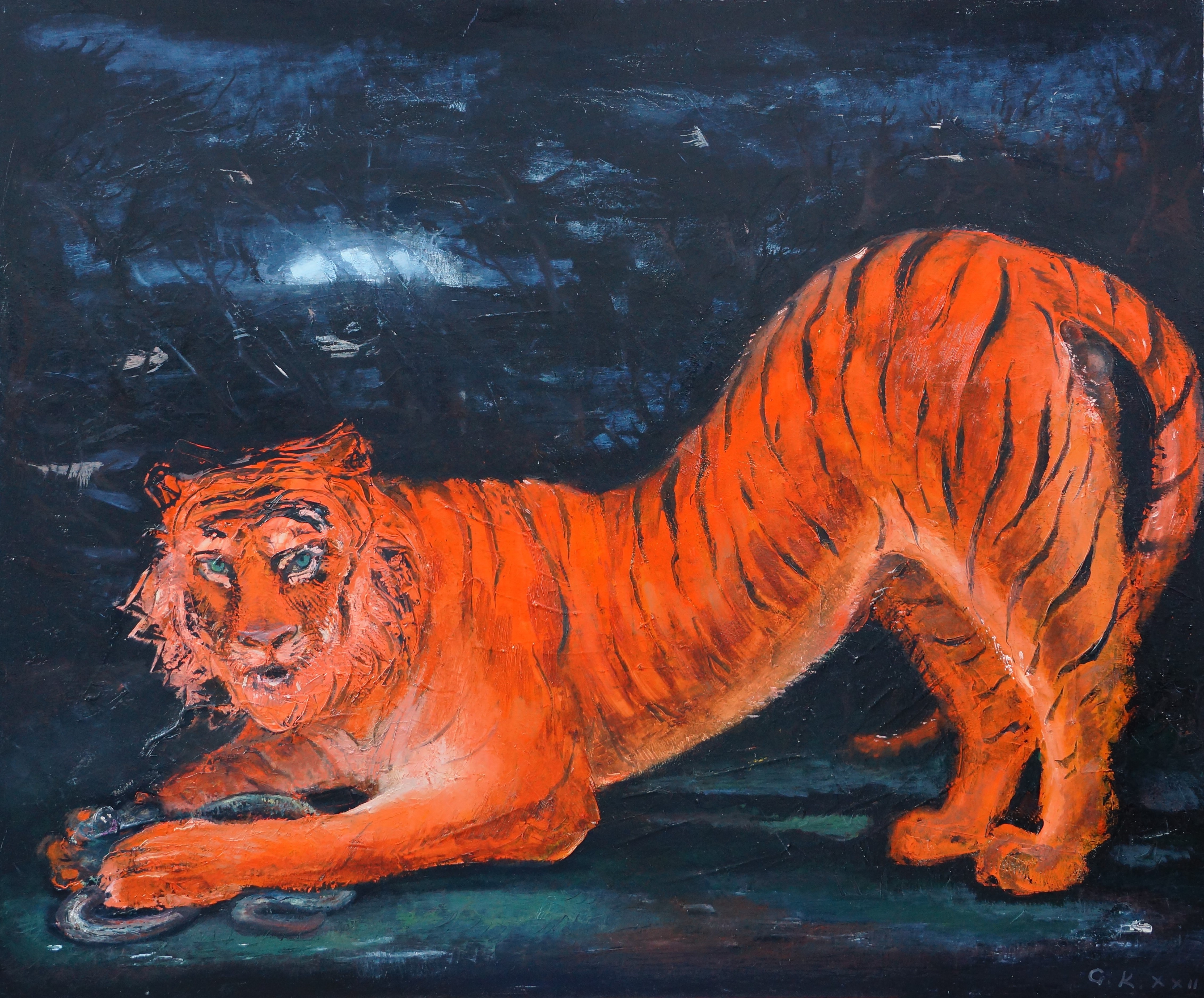 Giorgi Kukhalashvili, Tiger Giorgi Kukhalashvili, Tiger
