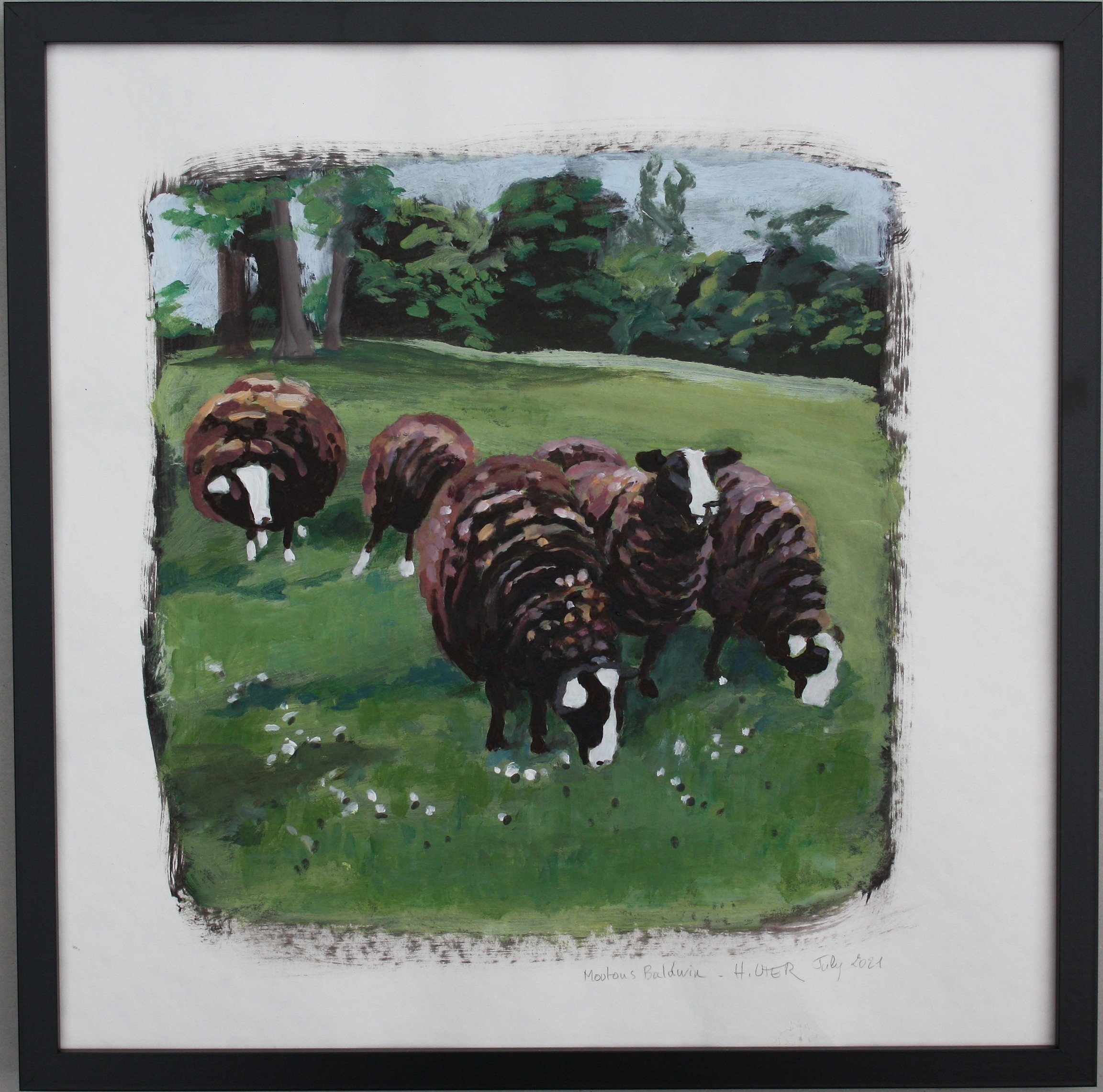 Helen Uter, Moutons Baldwin Helen Uter, Moutons Baldwin