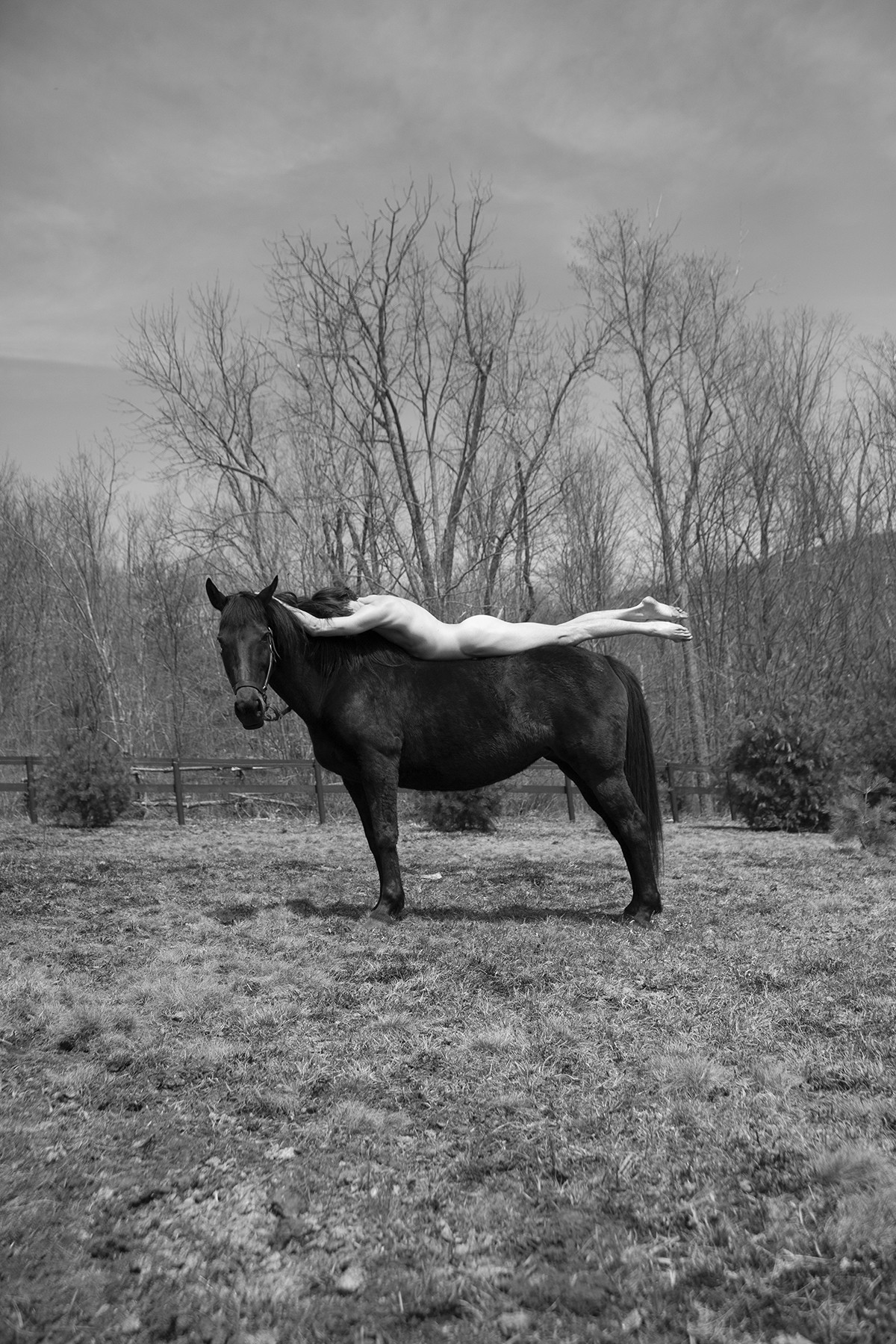Ricky Cohete, Caballero. From The series Horse and Dancer Ricky Cohete, Caballero. From The series Horse and Dancer